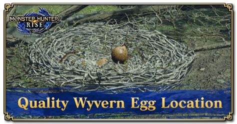 Oyster Bed. . Quality wyvern egg
